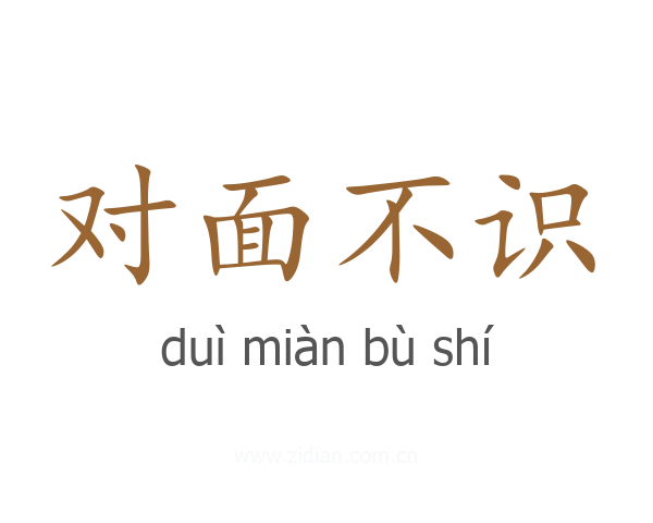 对面不识