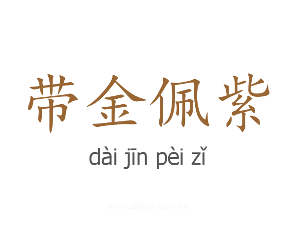 带金佩紫