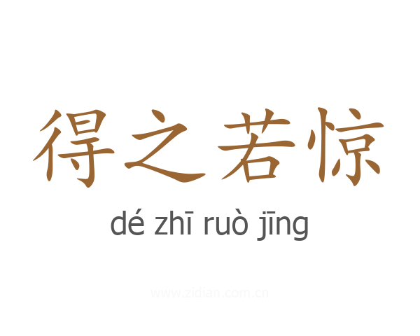 得之若惊