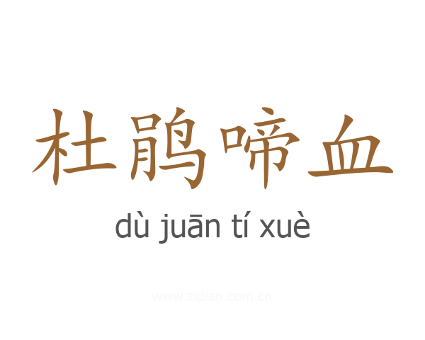 杜鹃啼血