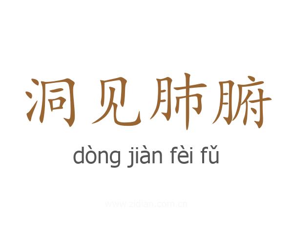 洞见肺腑