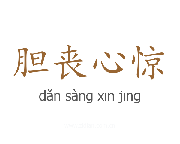胆丧心惊