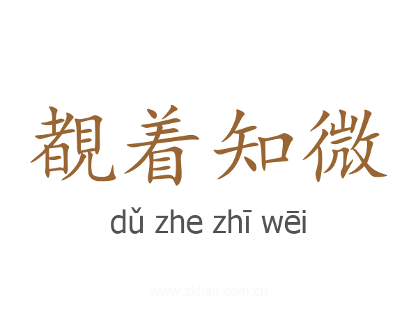 覩着知微