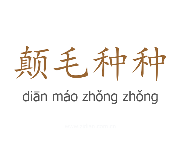 颠毛种种