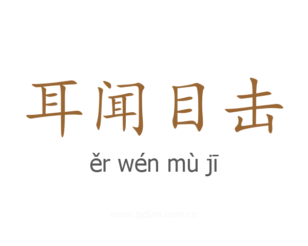 耳闻目击