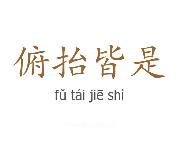 俯抬皆是
