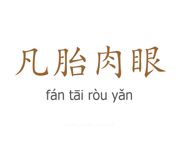 凡胎肉眼