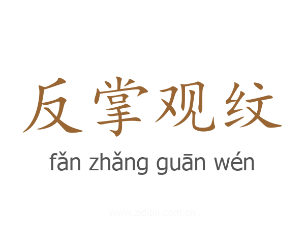 反掌观纹