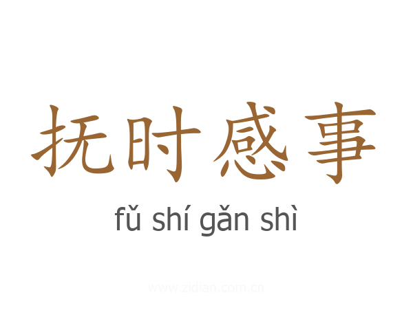 抚时感事