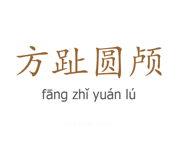 方趾圆颅