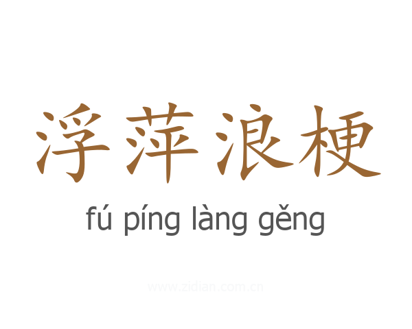 浮萍浪梗