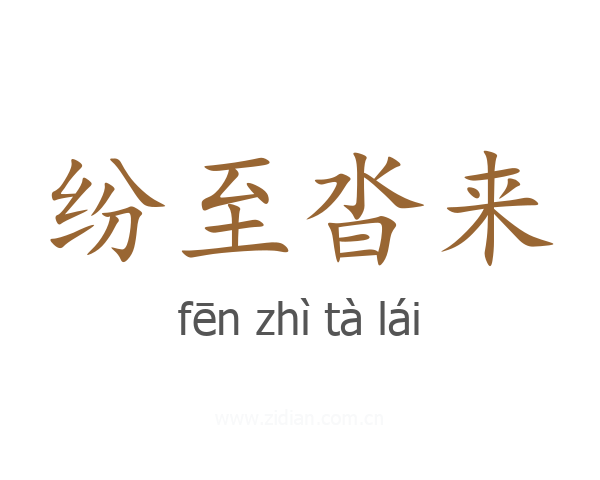 纷至沓来