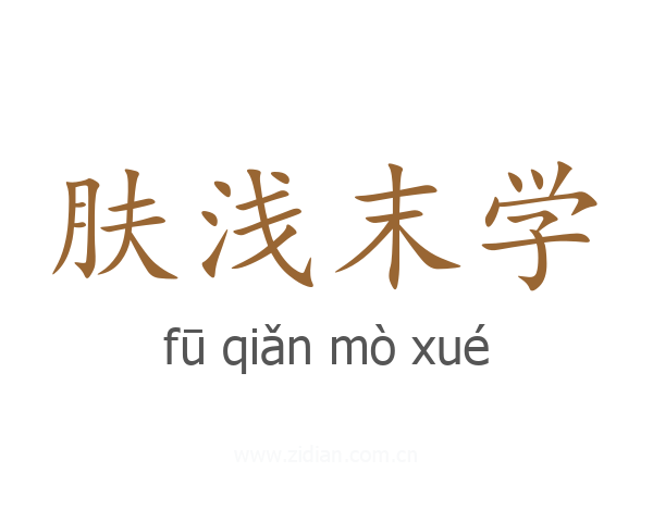 肤浅末学