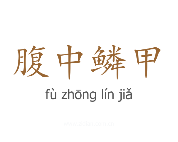 腹中鳞甲