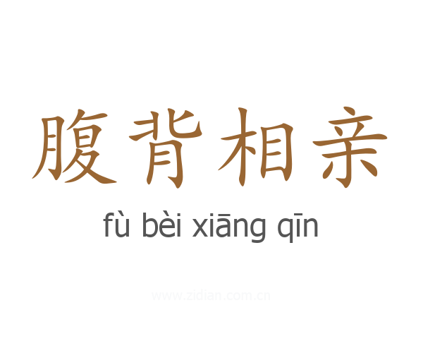腹背相亲