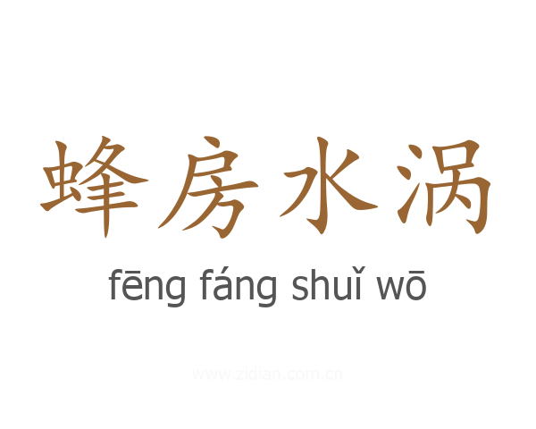 蜂房水涡