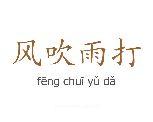 风吹雨打