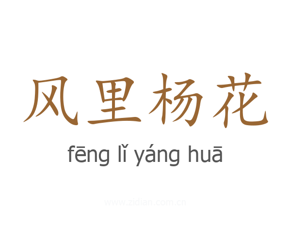 风里杨花