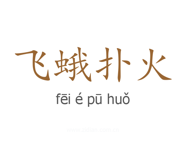 飞蛾扑火