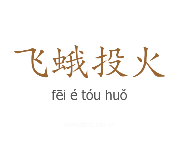 飞蛾投火