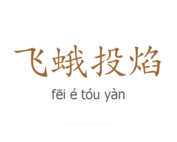 飞蛾投焰