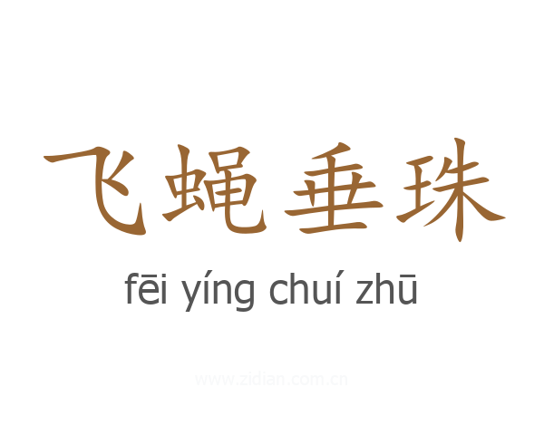 飞蝇垂珠