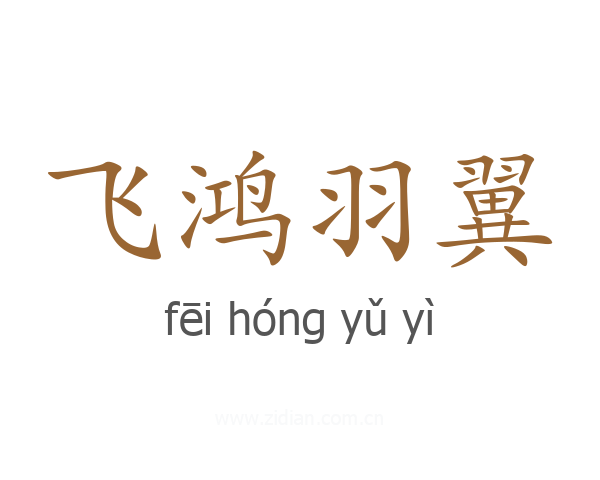 飞鸿羽翼