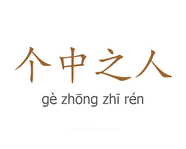 个中之人