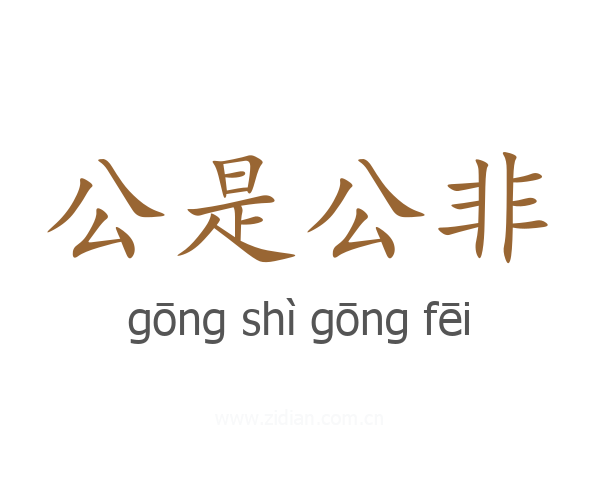 公是公非