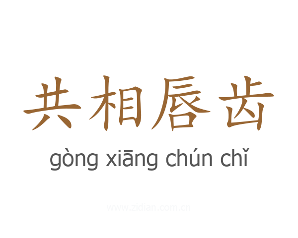 共相唇齿