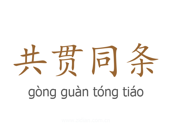 共贯同条