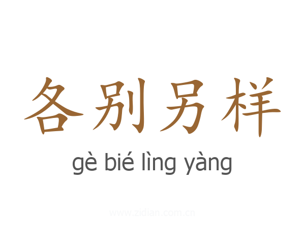 各别另样