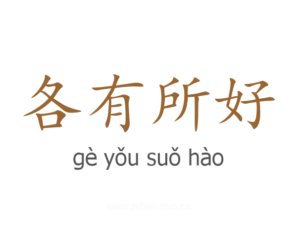各有所好