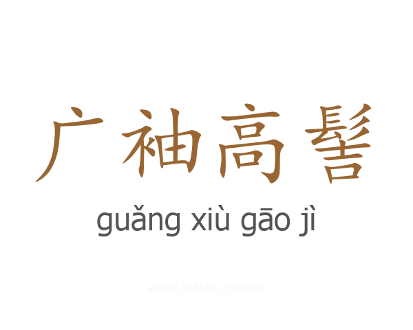 广袖高髻