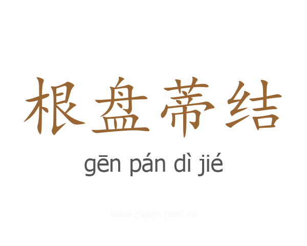 根盘蒂结