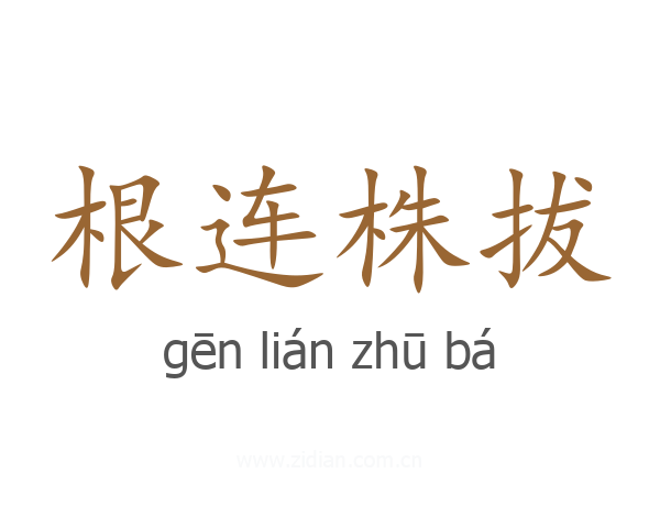 根连株拔