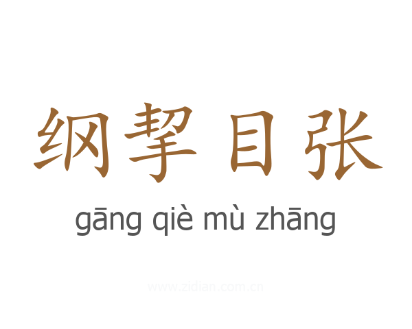 纲挈目张