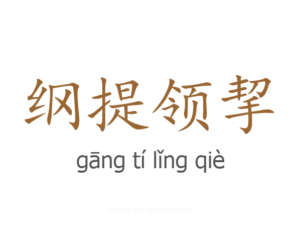 纲提领挈
