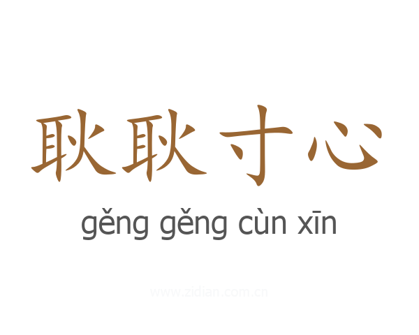 耿耿寸心