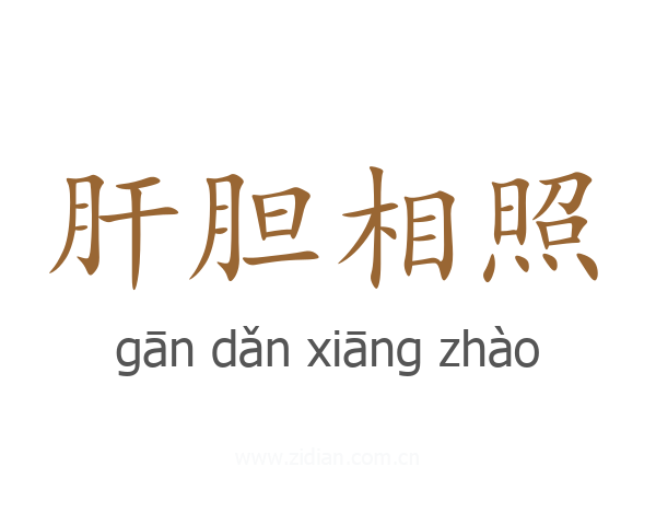 肝胆相照