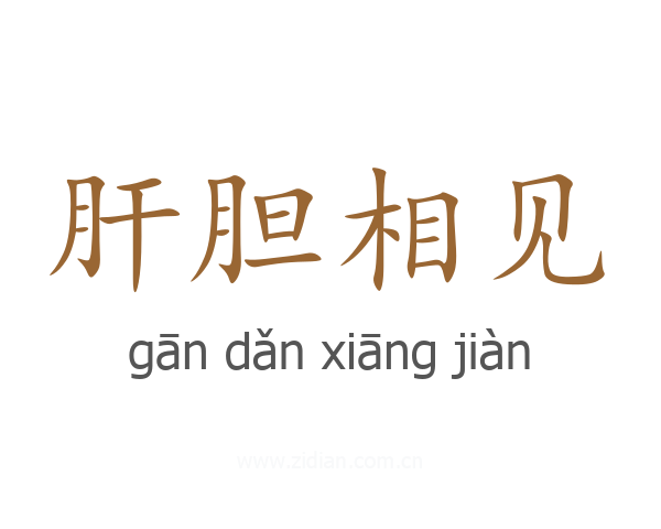 肝胆相见