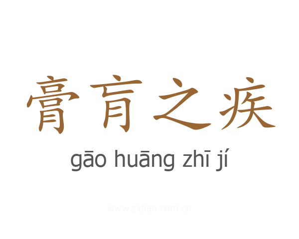 膏肓之疾