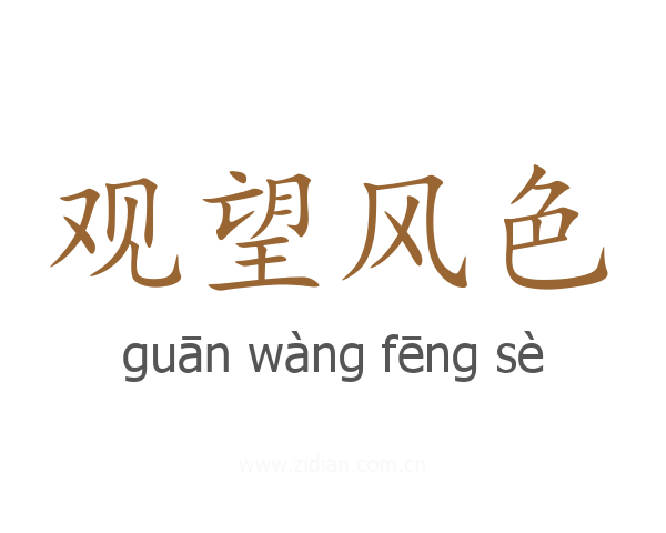 观望风色