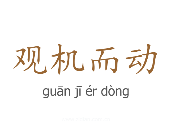 观机而动