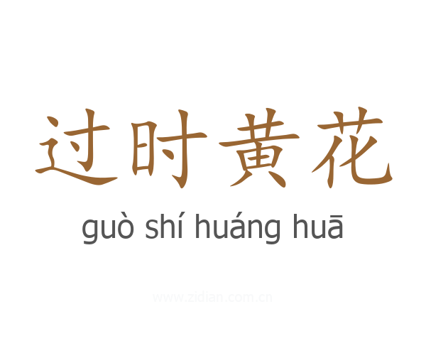 过时黄花