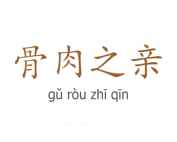 骨肉之亲