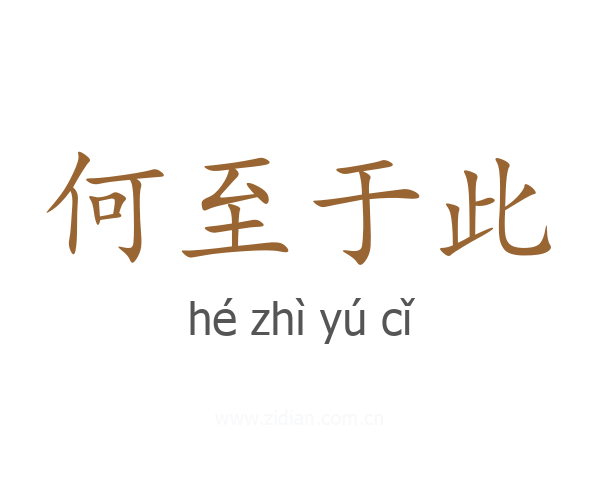 何至于此