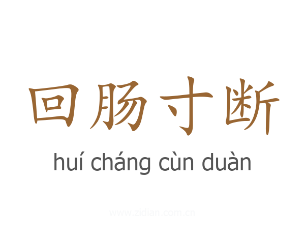 回肠寸断