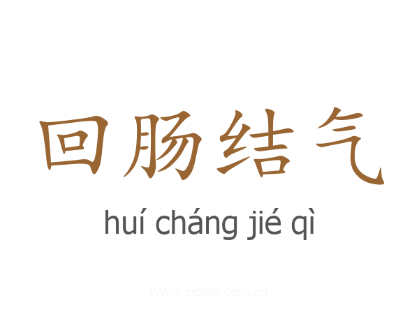 回肠结气