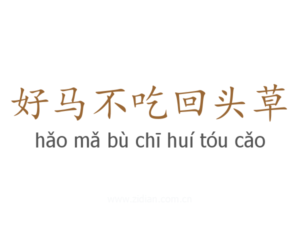 好马不吃回头草